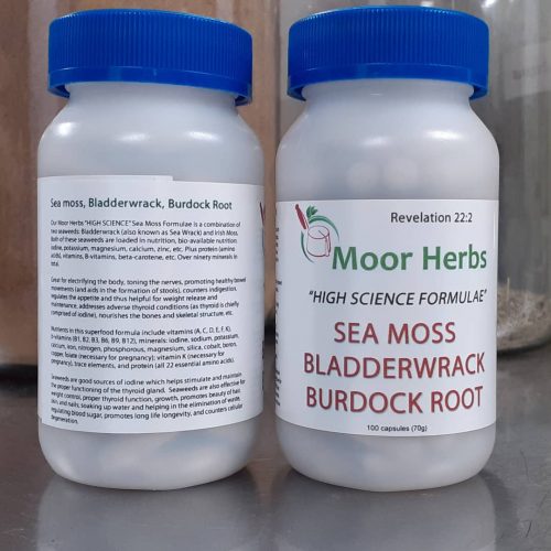 Sea Moss, Bladderwrack, and Burdock Root