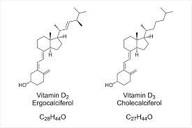 Vitamin D Fact Sheet post thumbnail image