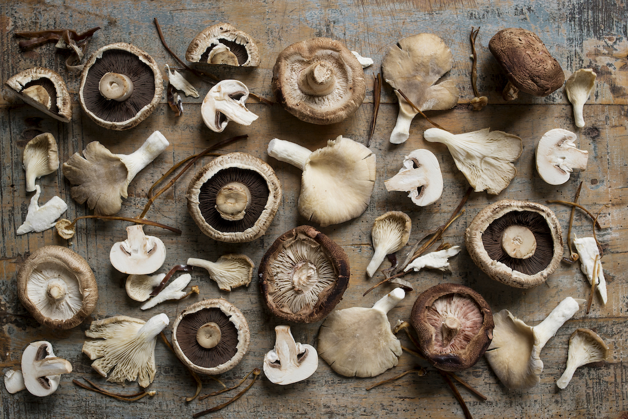 mushroom-mix